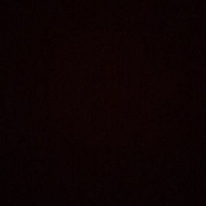 Meet your Posher, Kenzy